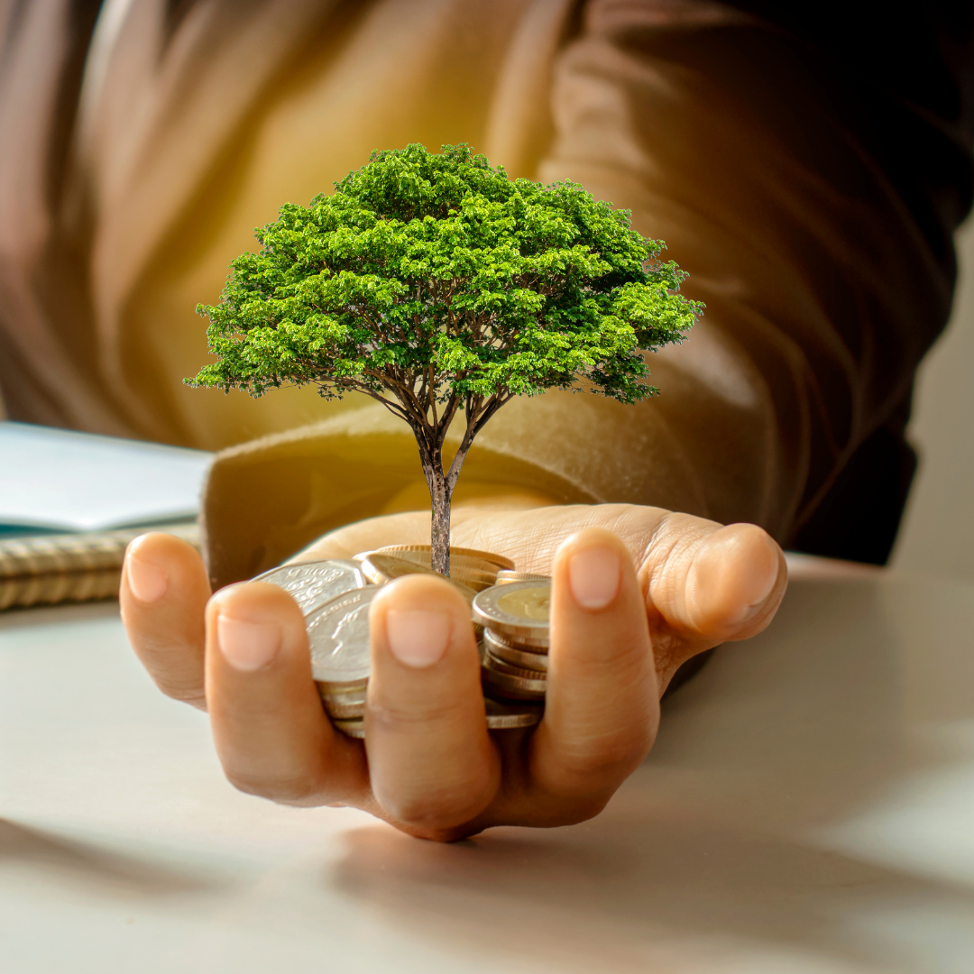 Como Criar Sua Reserva de Emergência (Mesmo Começando do Zero)